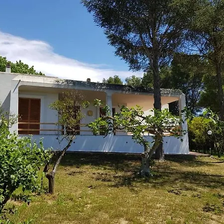 Lucia Villa Matino